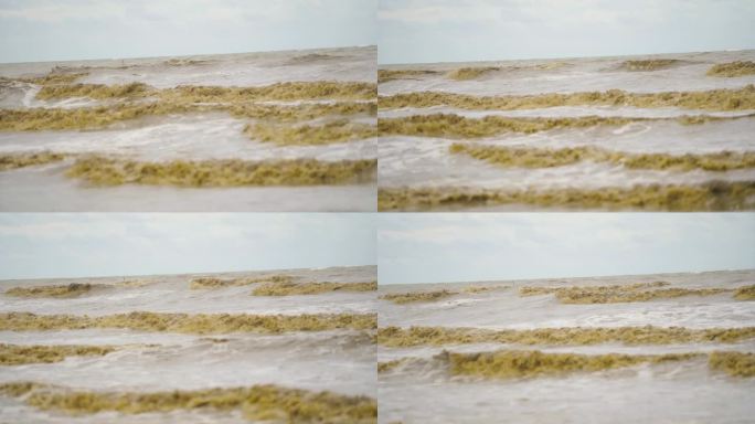 大海里的大浪打在沙滩上，海水浑浊。