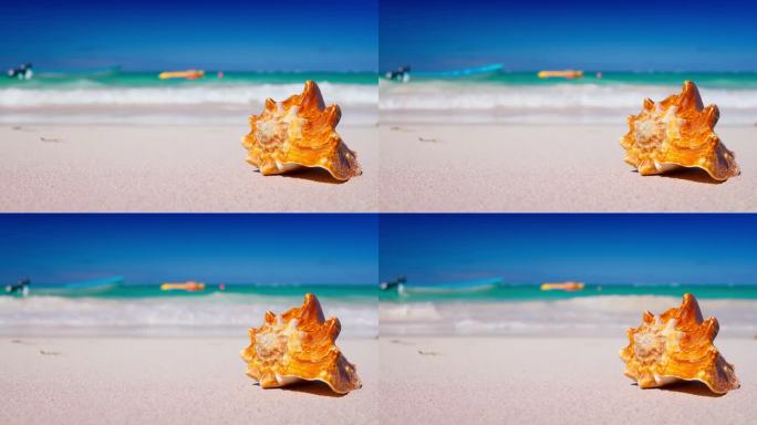 海滩和加勒比海的贝壳。热带海岛的暑假4K视频