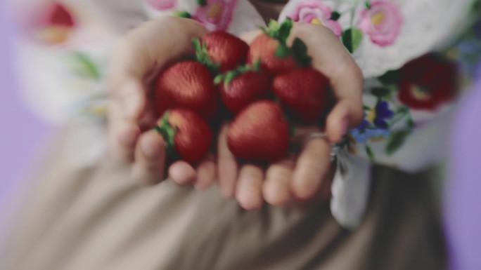 手上有草莓草莓采摘新鲜水果绿色
