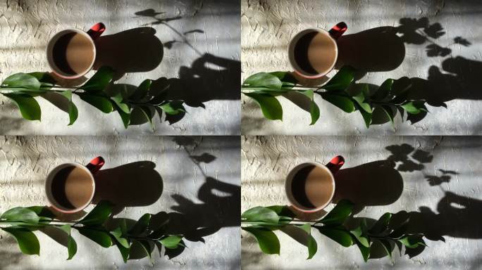 模糊的阴影女性手与花在垃圾背景与一杯咖啡。高对比度。漏光闪烁效果