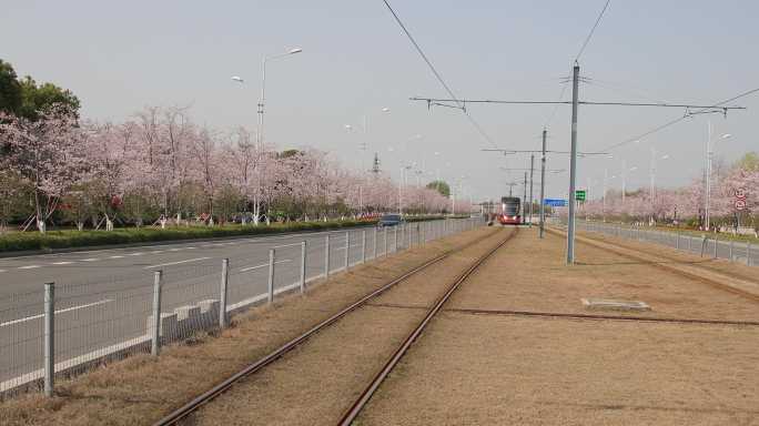 苏州樱花有轨电车