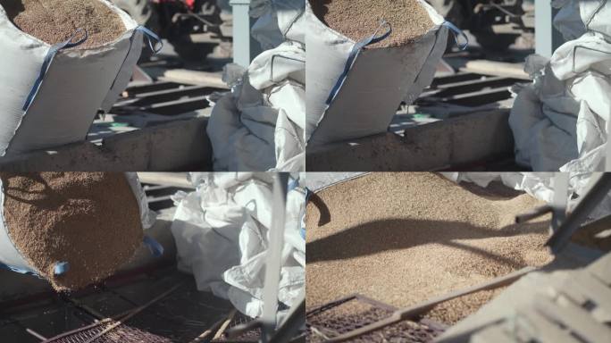 在磨坊生产厂，将米粒倒入磨坊，慢动作