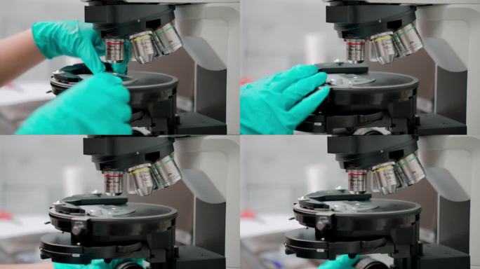 戴着防护手套的研究人员一边操作光学显微镜，一边将玻璃片插入设备，并调整设备的焦距透镜，以便检查微小的