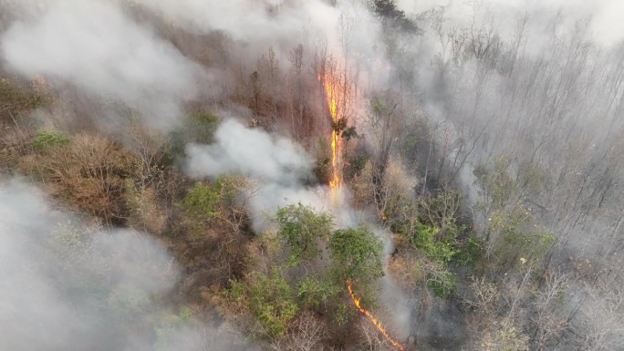 气候变化，野火释放二氧化碳(CO2)排放和其他温室气体(GHG)，导致气候变化和全球变暖。