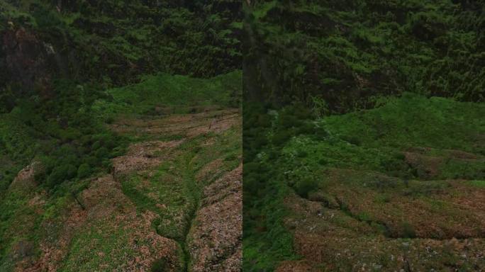 垂直视频。飞山丘陵地形自然地质形成绿化