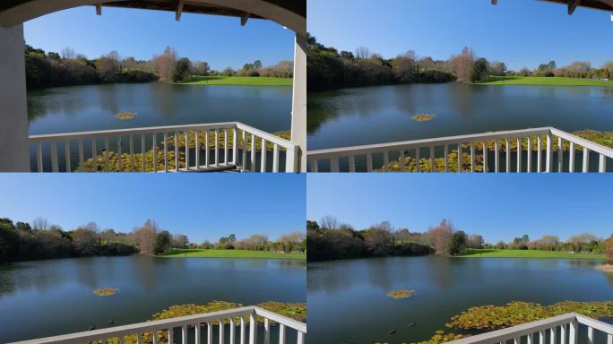 新西兰汉密尔顿的池塘