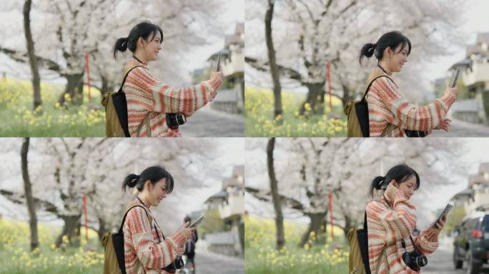 年轻女子在度假期间用智能手机与大自然中的樱花树自拍