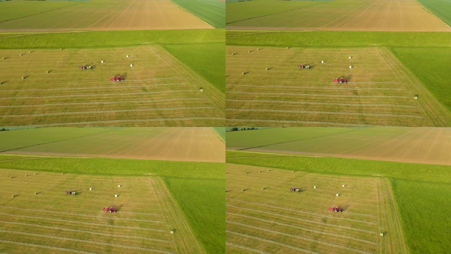 拖拉机用圆形打包机从农田里收集干草。农用机械在夏季进行季节性工作