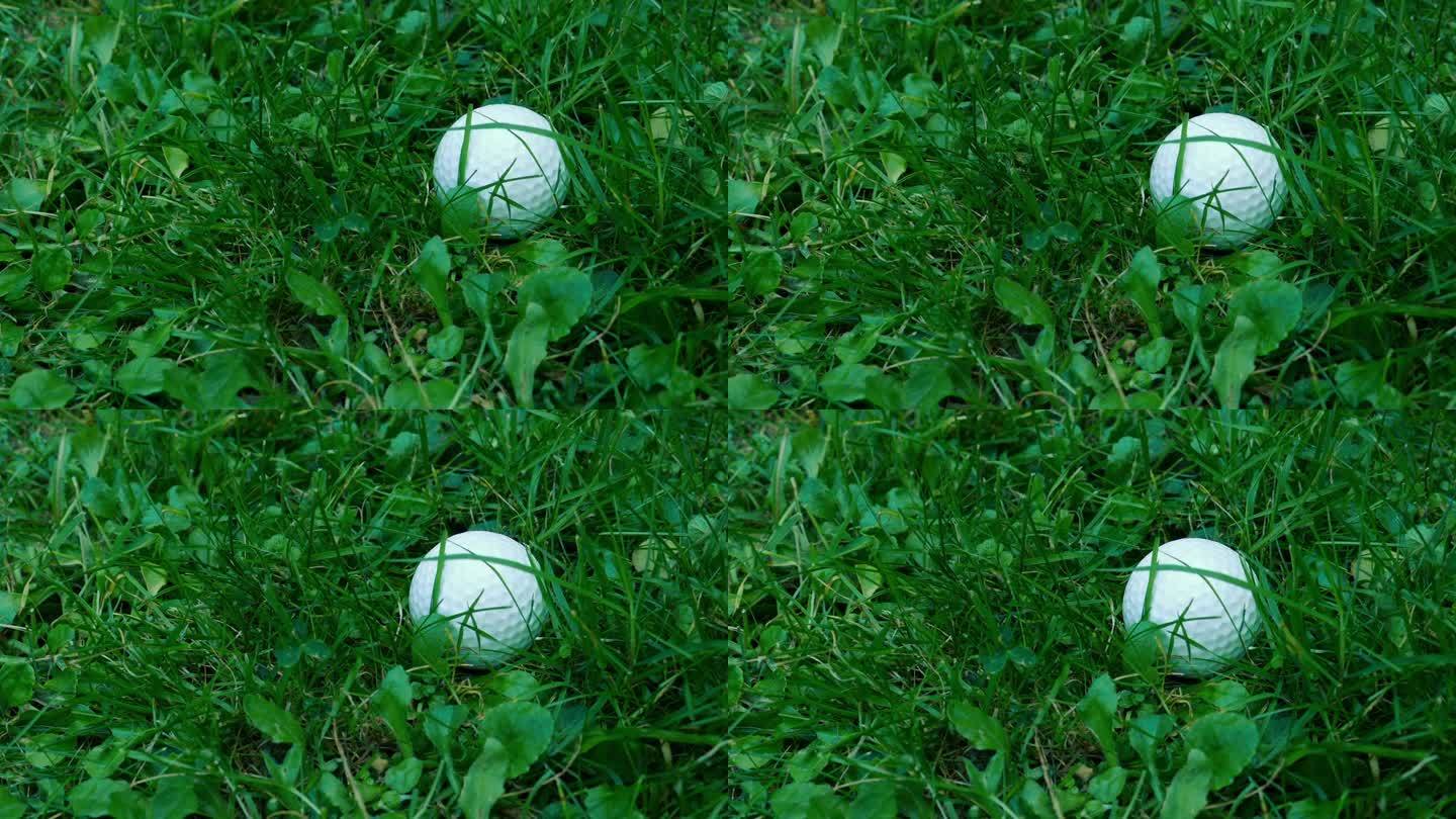 高尔夫球手从草地上捡起球