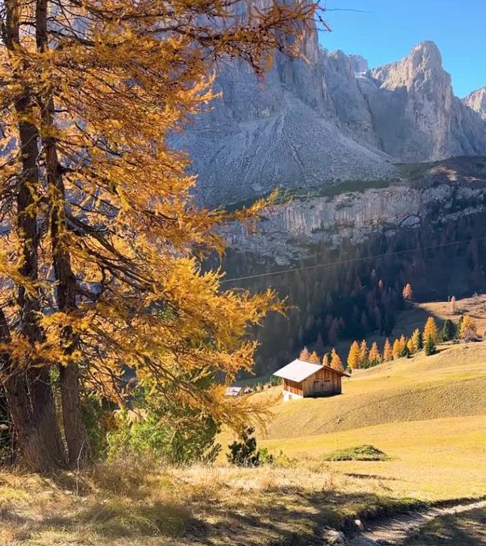 在山间小径徒步旅行，欣赏令人难以置信的秋景，个人视角