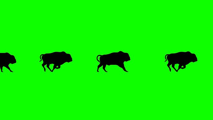 飞驰的野牛动物奔跑动画卡通