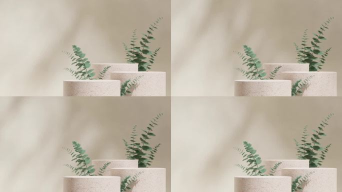 循环无缝的阴影动画与绿色桉树叶子和奶油墙，3d视频渲染自然水磨石纹理讲台的空模型