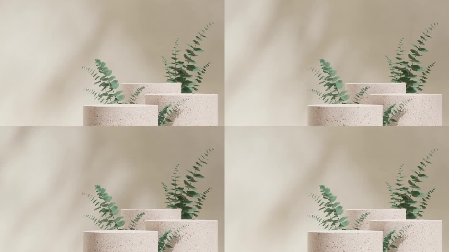 循环无缝的阴影动画与绿色桉树叶子和奶油墙，3d视频渲染自然水磨石纹理讲台的空模型