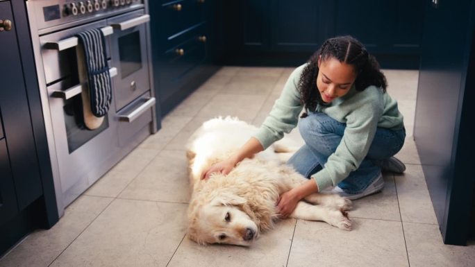 十几岁的女孩在家里的厨房抚摸着躺在地板上的宠物金毛猎犬