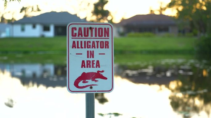 佛罗里达海滨公园的鳄鱼危险警告标志提醒人们在水边行走时要小心和安全