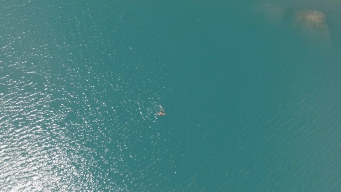 无人机拍摄的男子在冰川高山湖游泳的照片