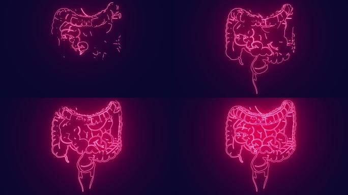 人体肠道医学人体解剖学未来主义霓虹灯动画