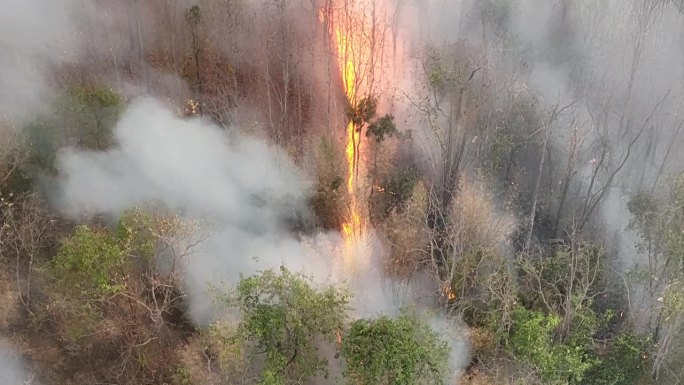 气候变化，野火释放二氧化碳(CO2)排放和其他温室气体(GHG)，导致气候变化和全球变暖。