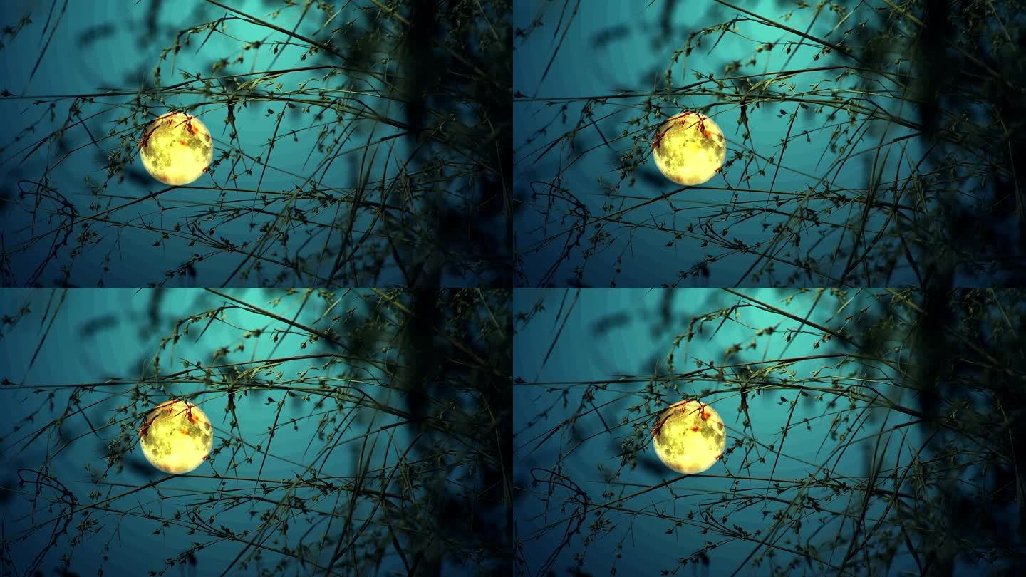 满月背景下的柏树剪影