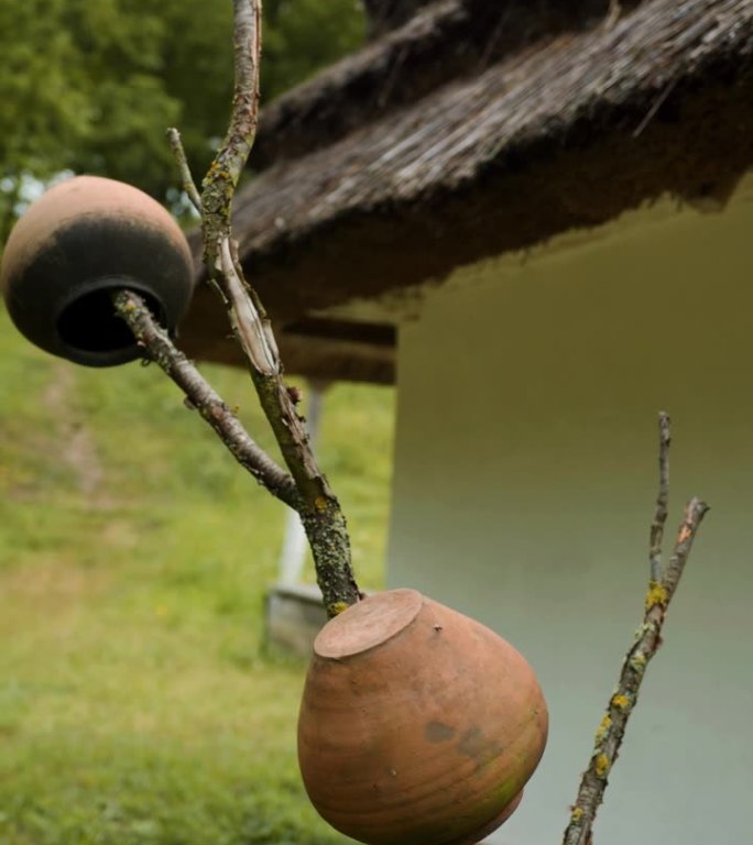一所茅草屋顶的土坯木屋附近的树上挂着陶罐。手工制作的