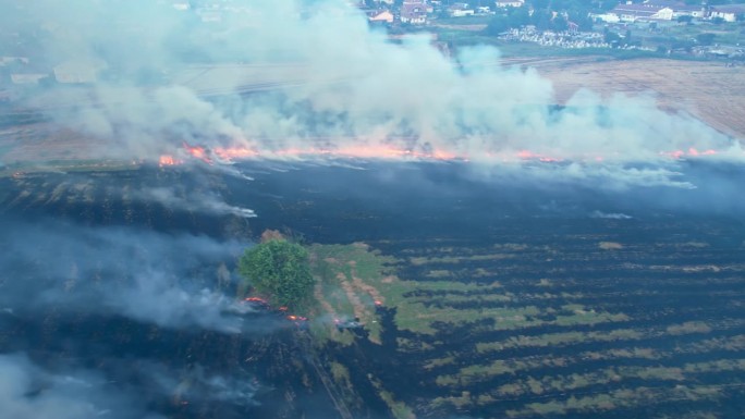 田野着火了，绿油油的稻田和麦田里燃烧着小草。鸟瞰图清晰的火线和燃烧场和灰烬的黑色层