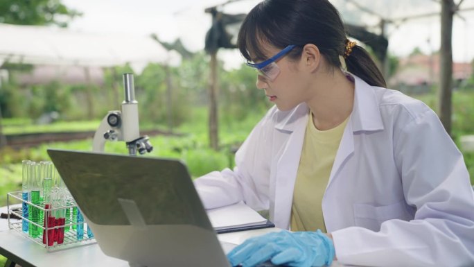 卓越的农业科学:亚洲女性植物学家确保土壤和蔬菜质量。