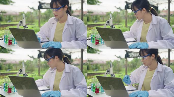 卓越的农业科学:亚洲女性植物学家确保土壤和蔬菜质量。