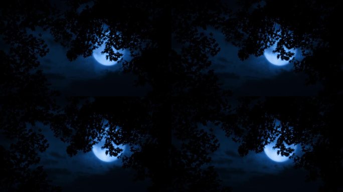 夜晚，大月亮在树后发光