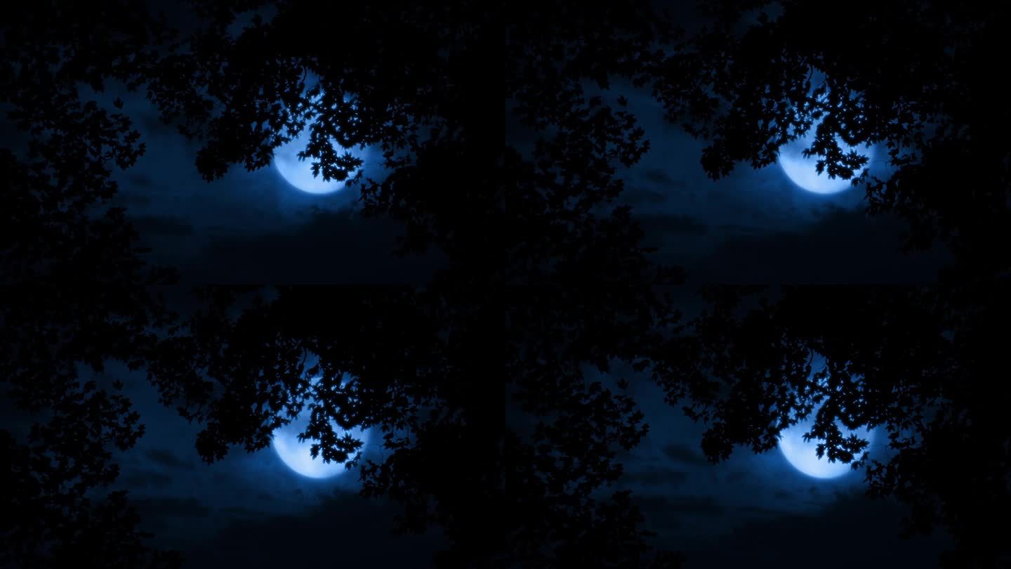 夜晚，大月亮在树后发光