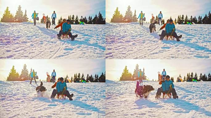 一对老年夫妇和一只狗在雪坡上滑雪橇玩得很开心