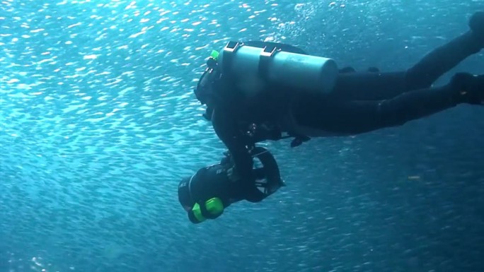 潜水员在鱼群下拍摄水下视频。
