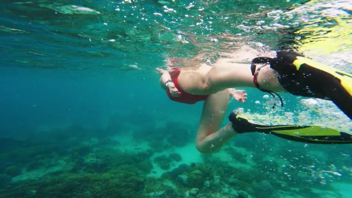 在吉利群岛浮潜吉利群岛浮潜游泳潜水