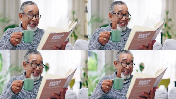 老人，在客厅里喝咖啡，看书;回家，微笑着看故事，小说和知识。快乐的老家伙，喝杯茶，在休息室看书，退休