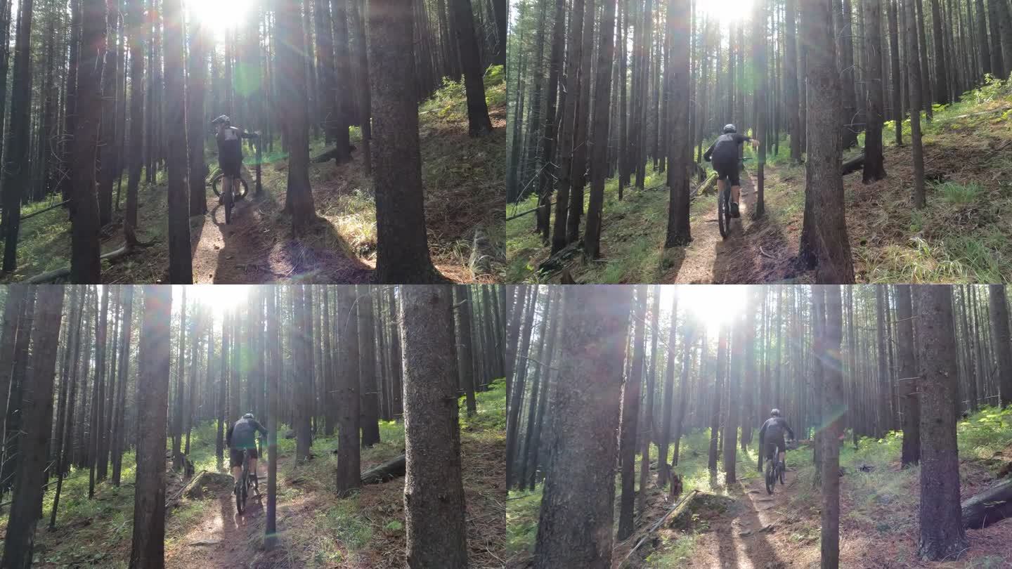 男性山地自行车手沿着山道穿过树林