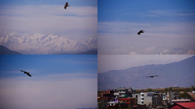 鹰在山谷的蓝天上飞翔，背景是一些山脉
