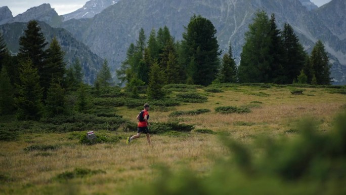 Male trail runner running through alpine pasture a