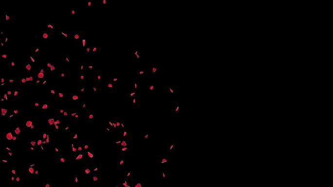 4K玫瑰花瓣掉落逼真动画掉落玫瑰花瓣。你可以替换背景。