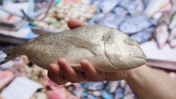 多拉多鲜鱼特写。用手把鲜鱼放到镜头前。地中海海鲜市场。4 k