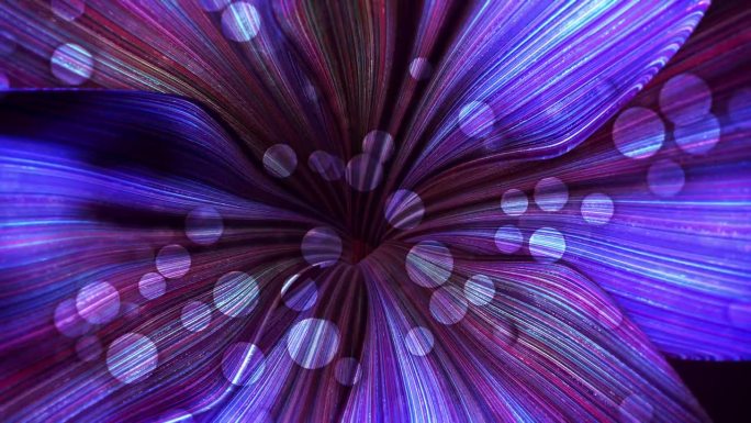 抽象的花朵背景。紫色耦合色灯光影子转动