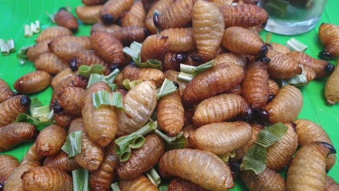 幼虫棕榈虫象鼻虫油炸昆虫小吃在东南亚市场销售异国情调的食品