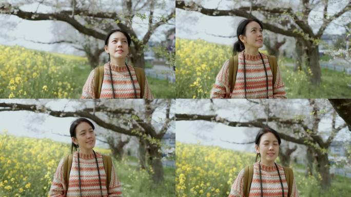 一个开朗的女人独自走在以樱花为背景的草地上，在假期里感到轻松和清爽。