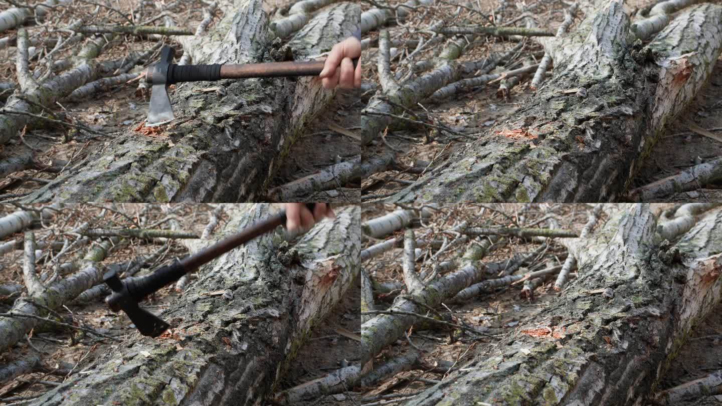 一位年迈的樵夫在户外用斧头把一根原木砍成树桩，特写