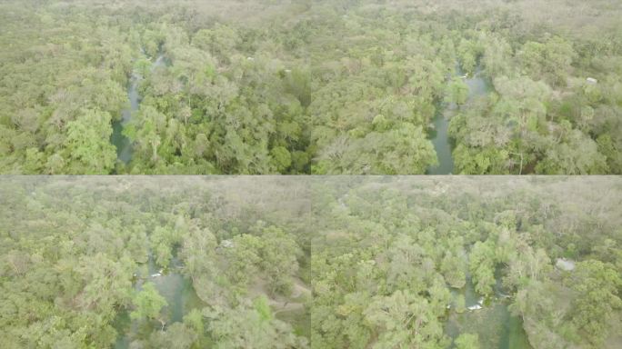 空中无人机拍摄流经森林的河流