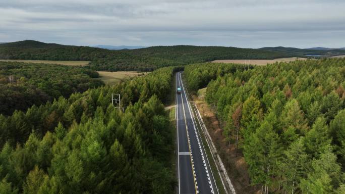 穿过森林的道路俯瞰航拍