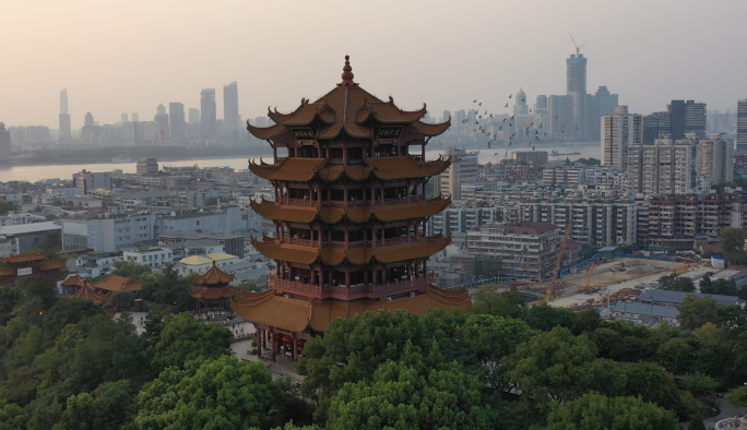 和平鸽飞跃黄鹤楼