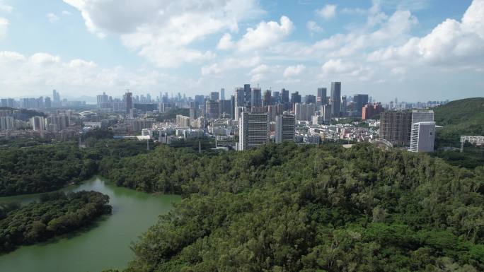 【正版素材】深圳西丽水库