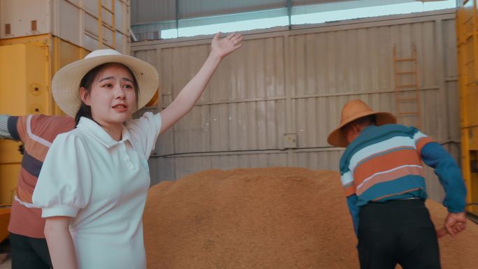 乡村振兴稻米加工厂美女介绍稻米烘干设备
