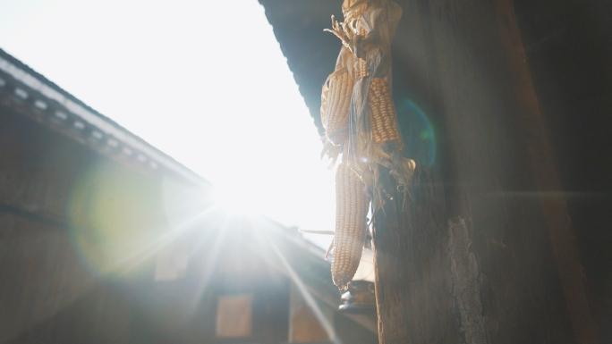 屋檐挂着玉米怀旧文艺空镜唯美意境农民丰收