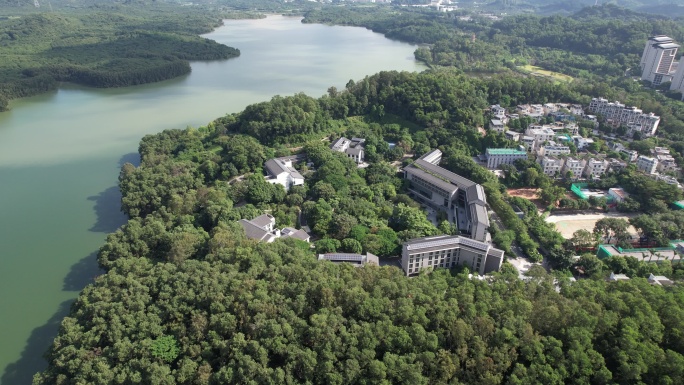 深圳市南山区丽紫路紫荆山庄