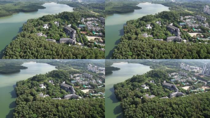 深圳市南山区丽紫路紫荆山庄